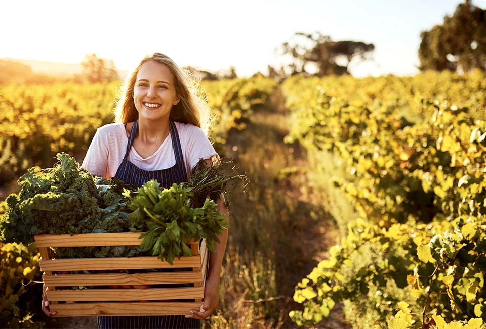 Für nachhaltige Verpackungslösungen;
