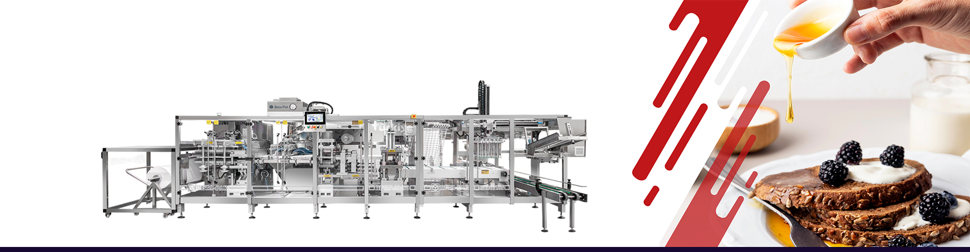 Bpt-P Series